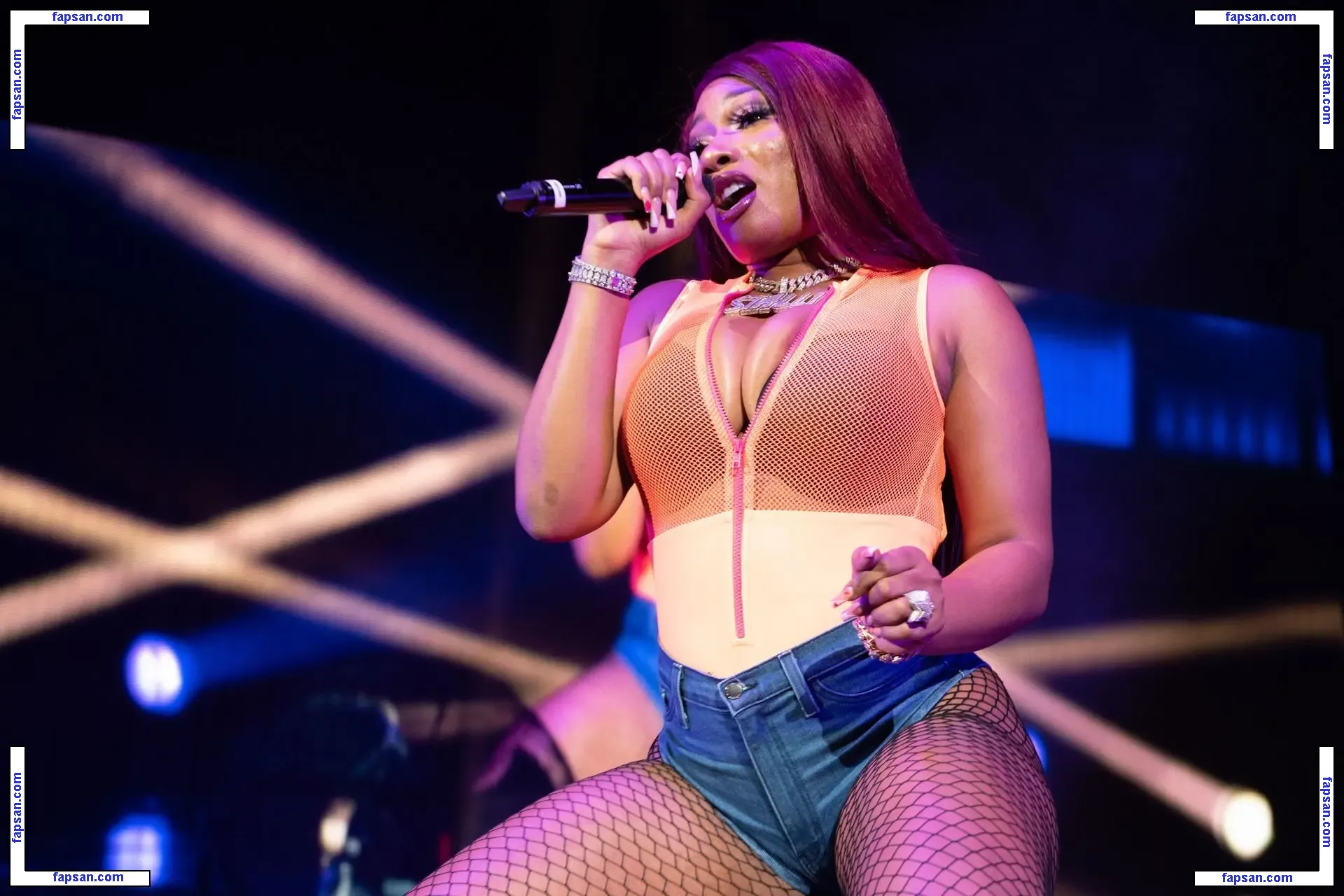 Megan Thee Stallion nude photo #0015 from OnlyFans