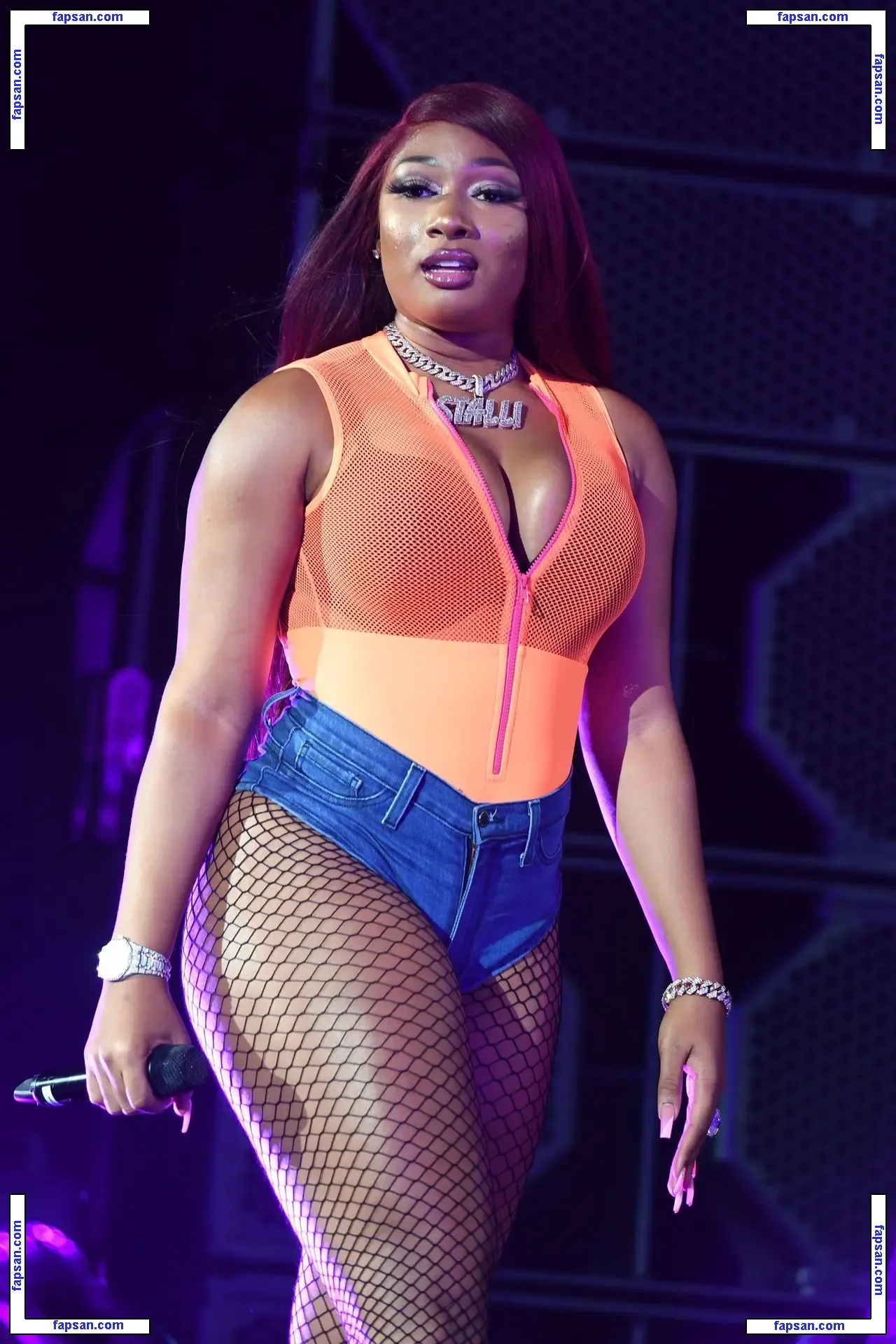 Megan Thee Stallion nude photo #0027 from OnlyFans