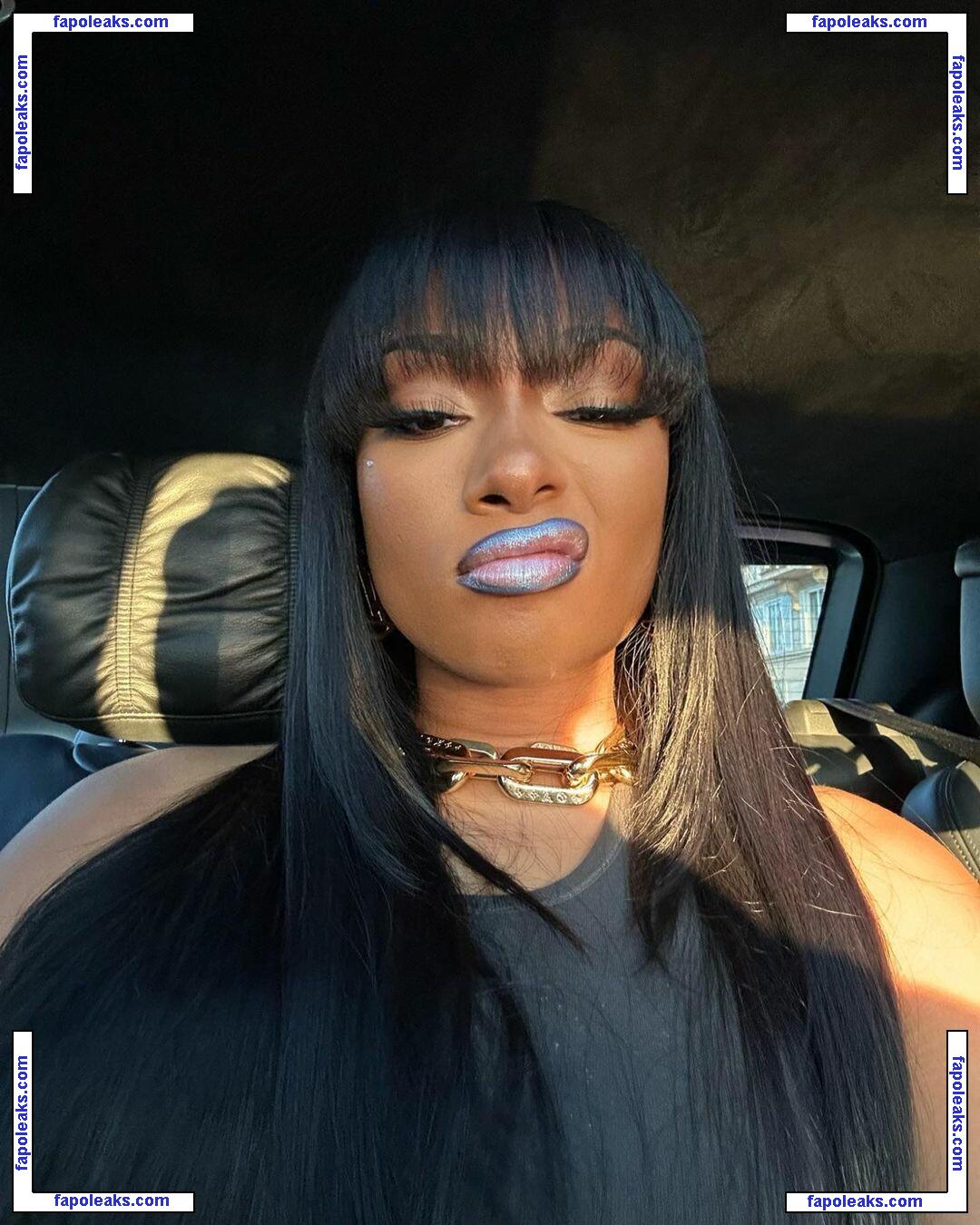 Megan Thee Stallion / theestallion голая фото #1271 с Онлифанс