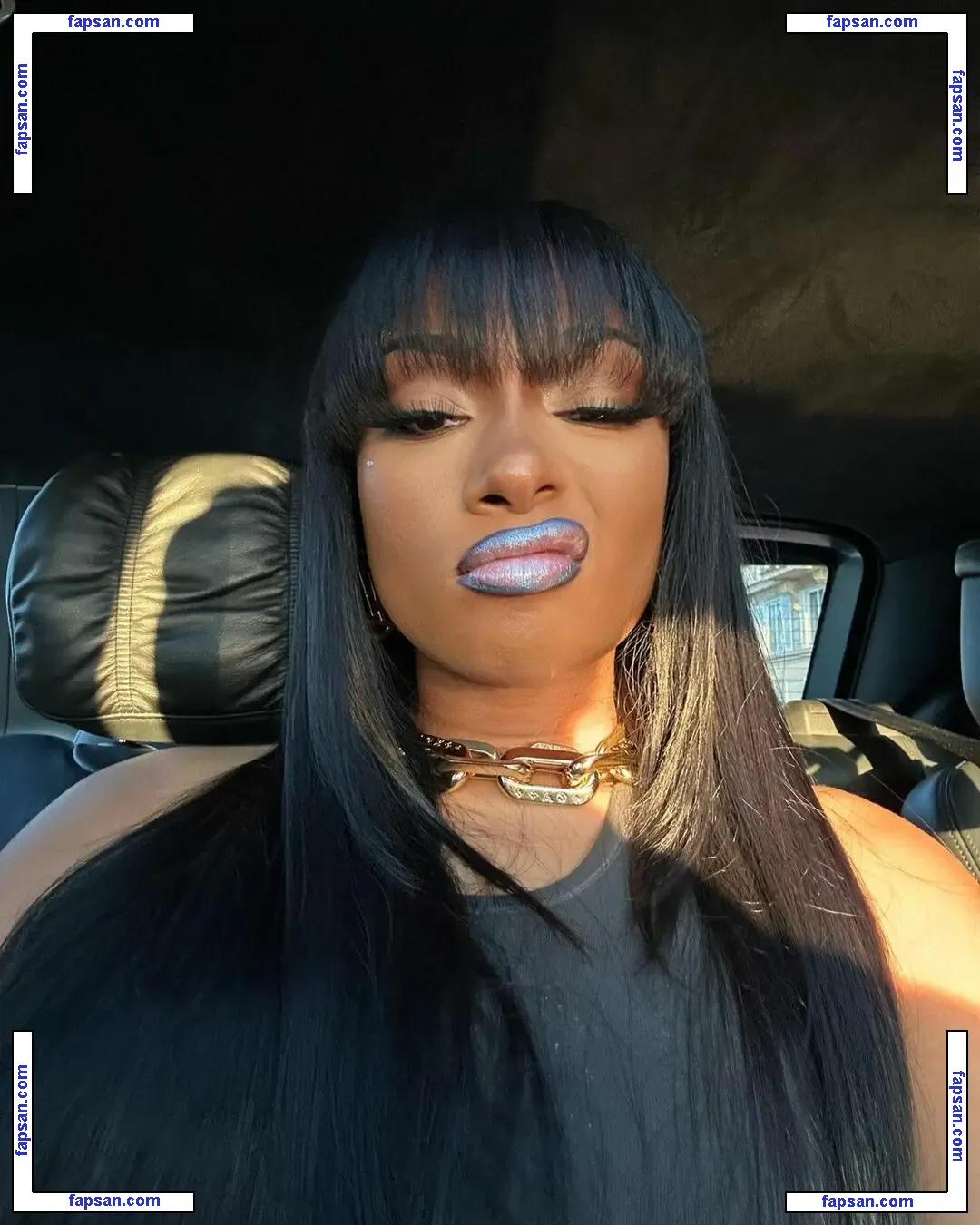 Megan Thee Stallion nude photo #1271 from OnlyFans