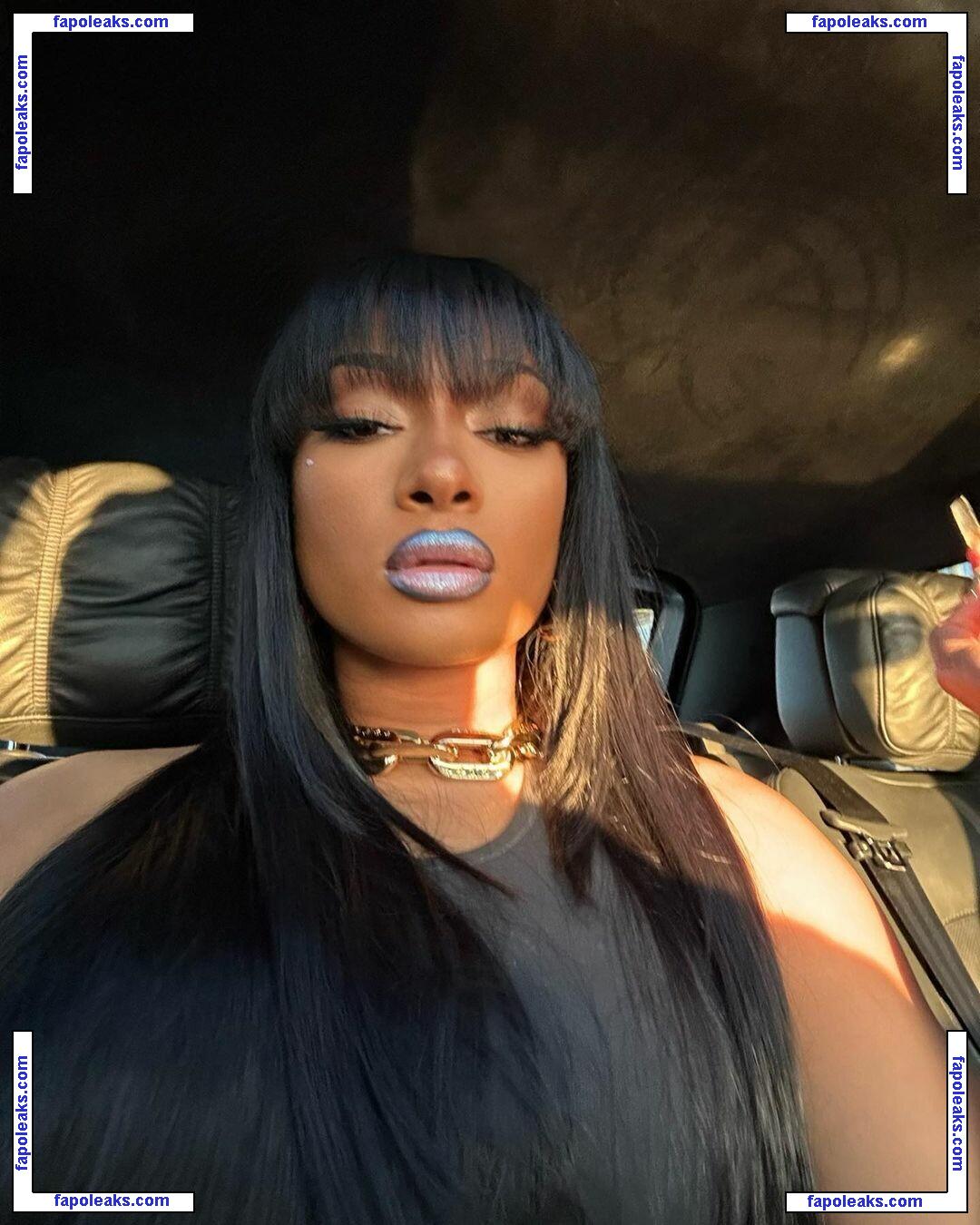 Megan Thee Stallion / theestallion голая фото #1272 с Онлифанс