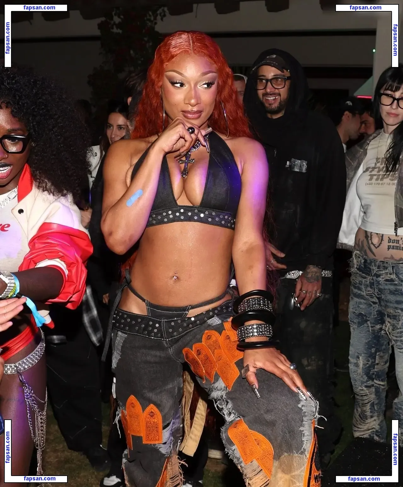 Megan Thee Stallion nude photo #1948 from OnlyFans