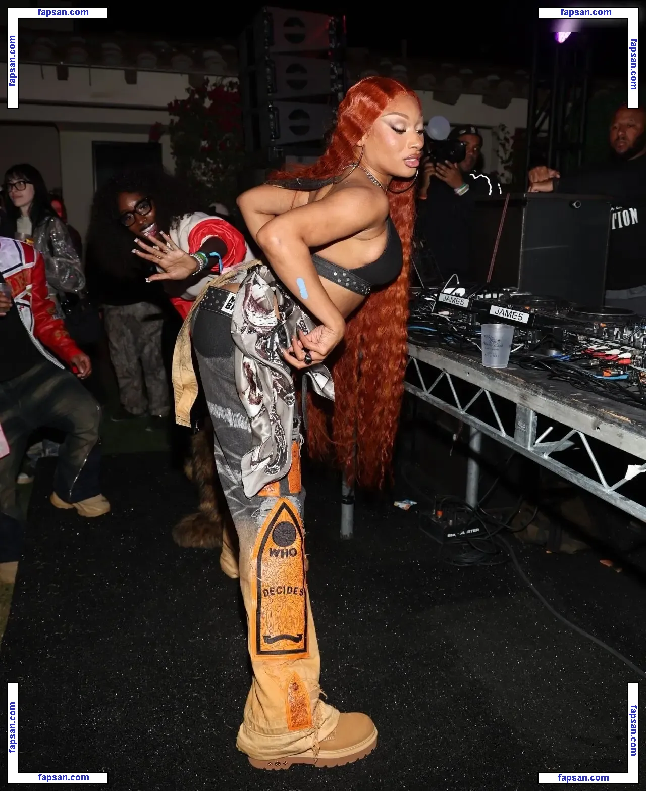 Megan Thee Stallion nude photo #1951 from OnlyFans