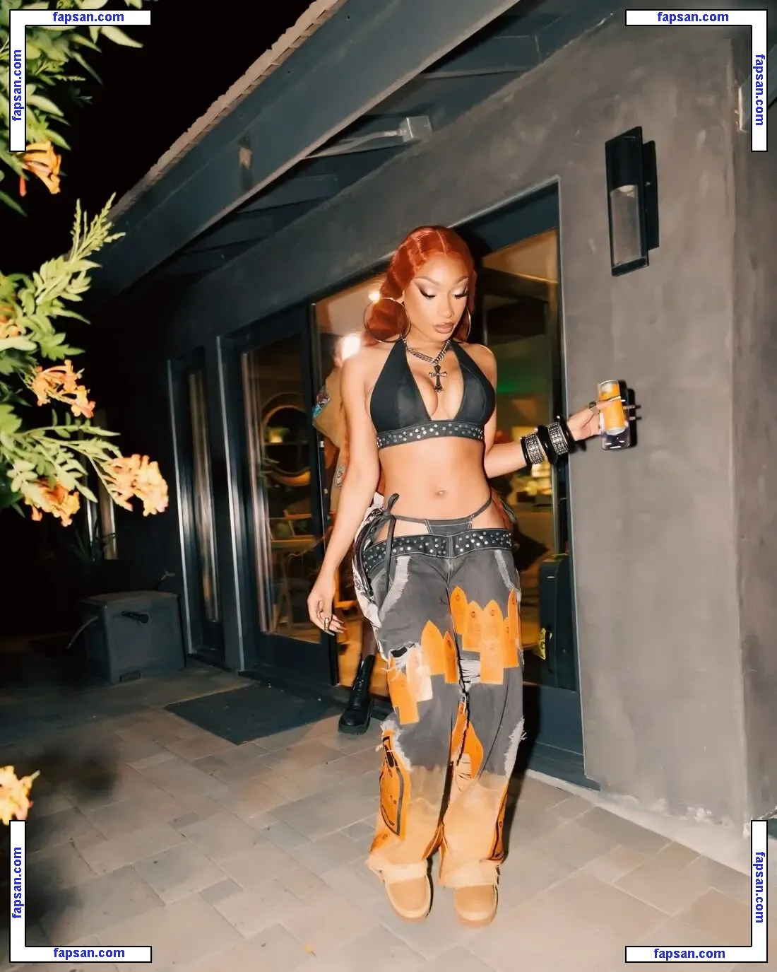 Megan Thee Stallion nude photo #1957 from OnlyFans
