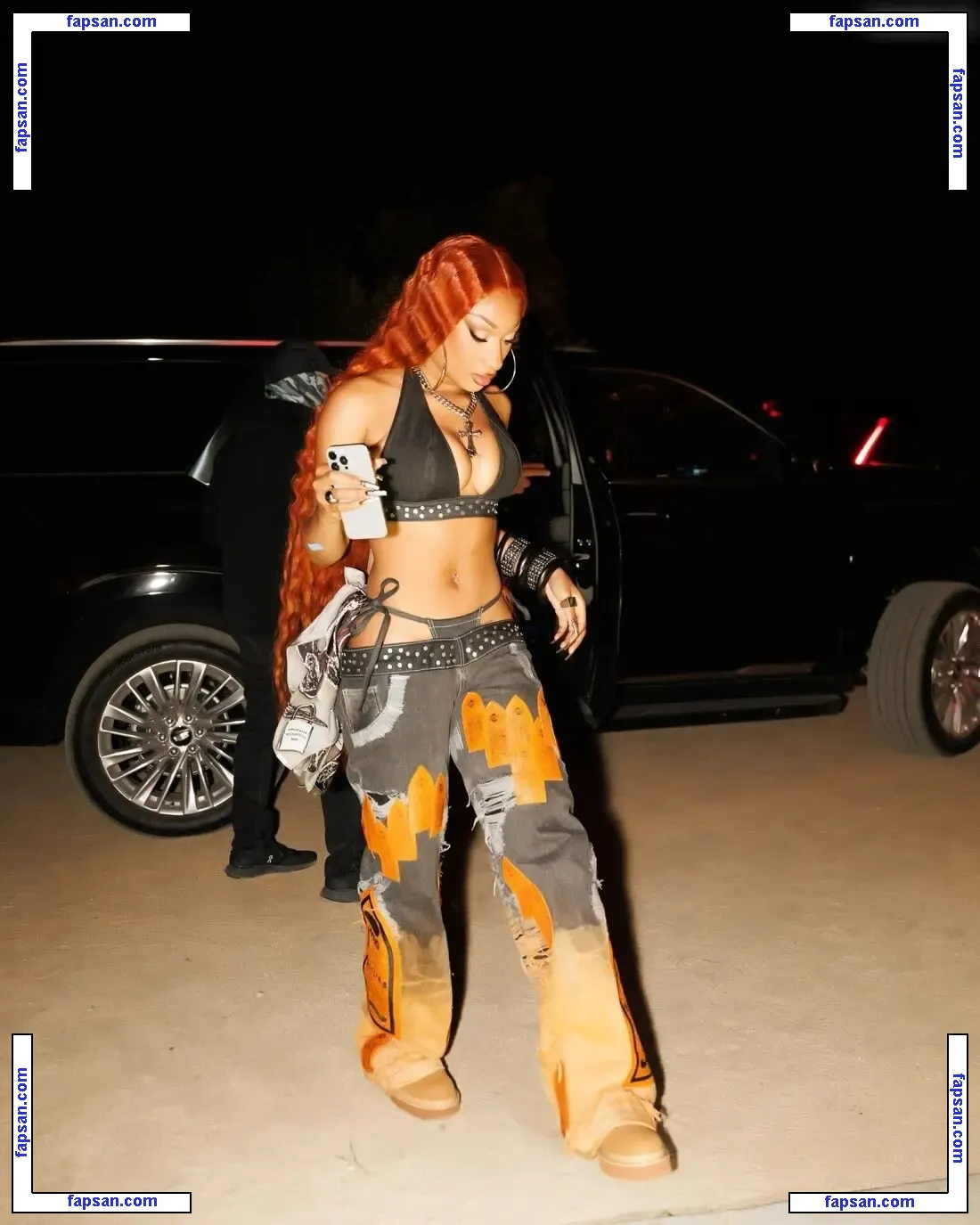 Megan Thee Stallion nude photo #1960 from OnlyFans