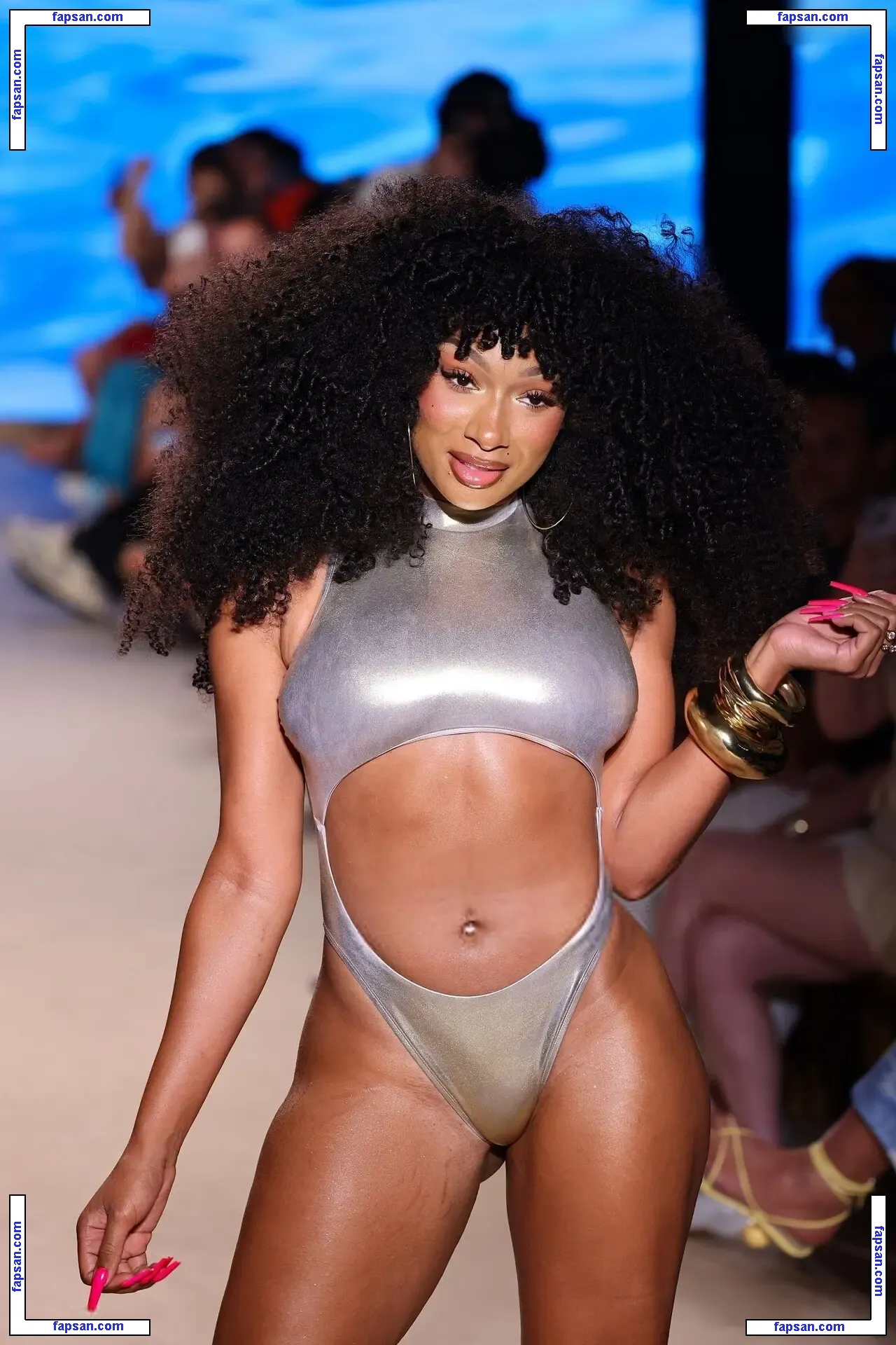 Megan Thee Stallion nude photo #1964 from OnlyFans