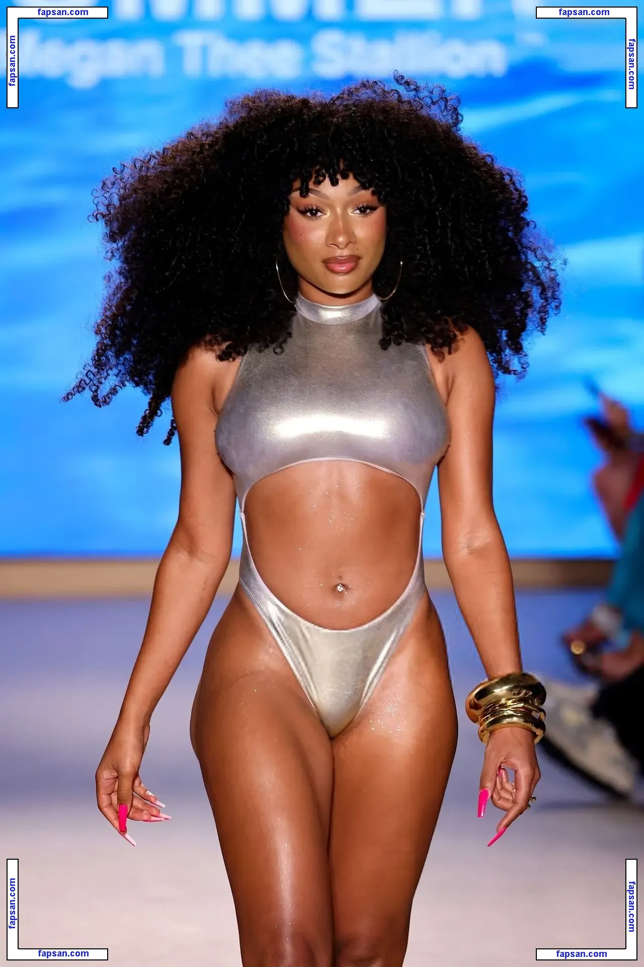 Megan Thee Stallion nude photo #1967 from OnlyFans