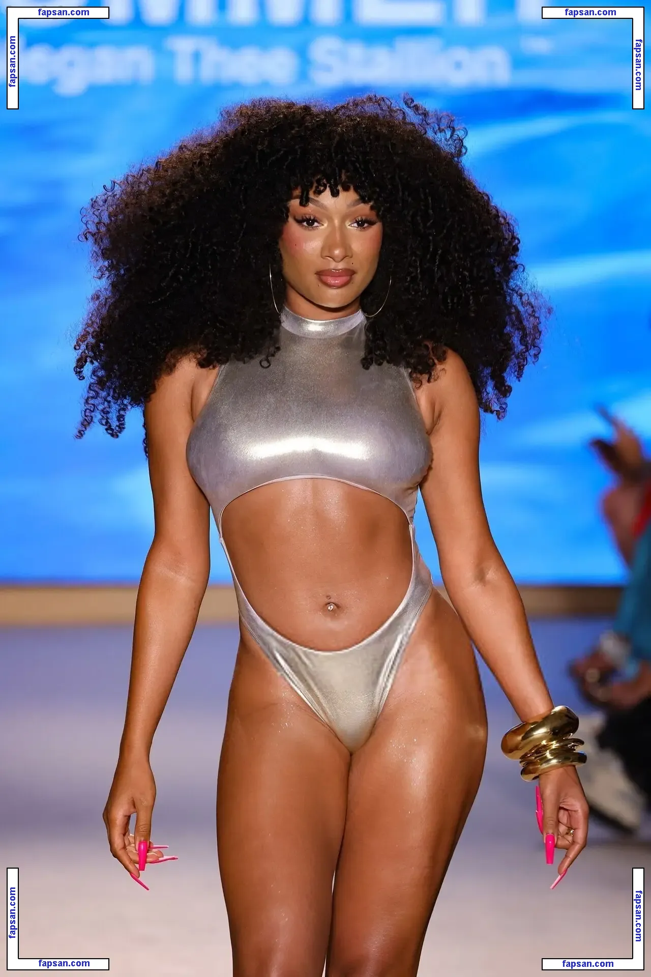 Megan Thee Stallion nude photo #1968 from OnlyFans
