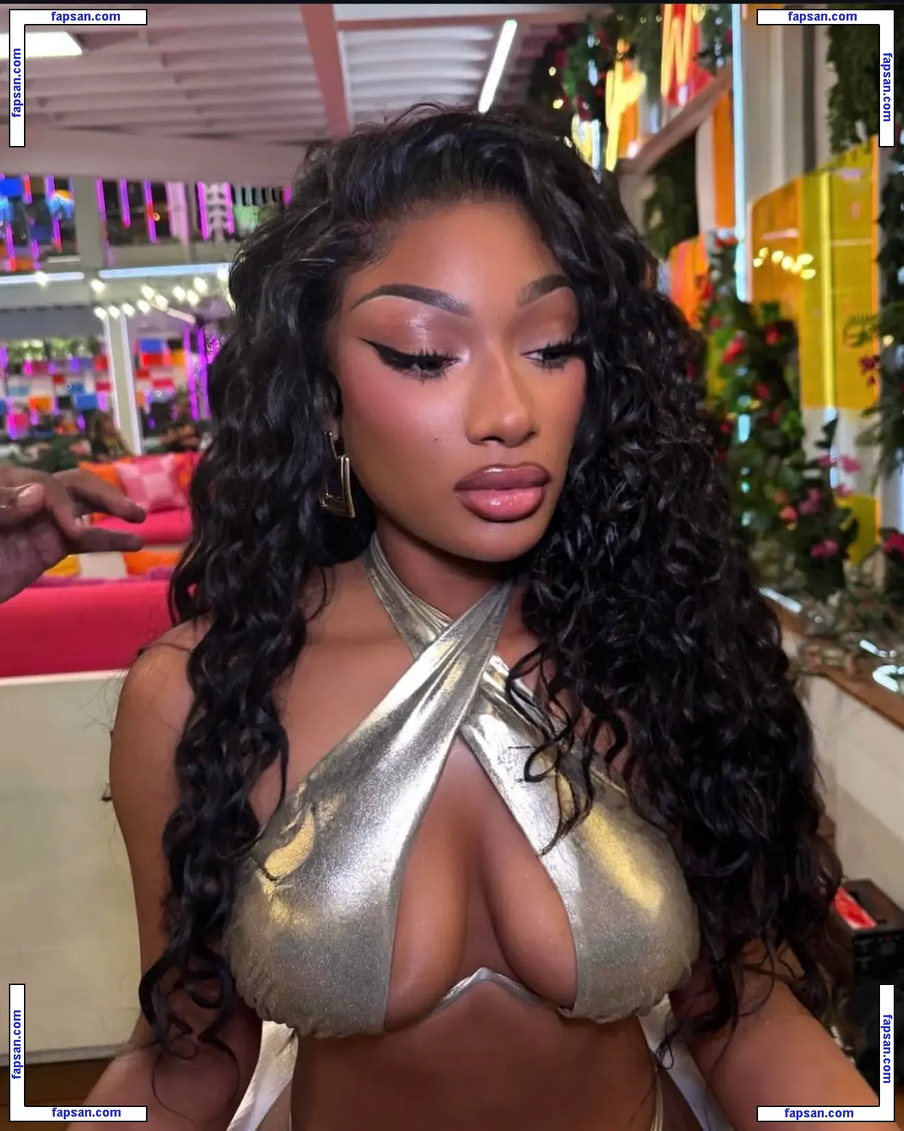 Megan Thee Stallion nude photo #1995 from OnlyFans