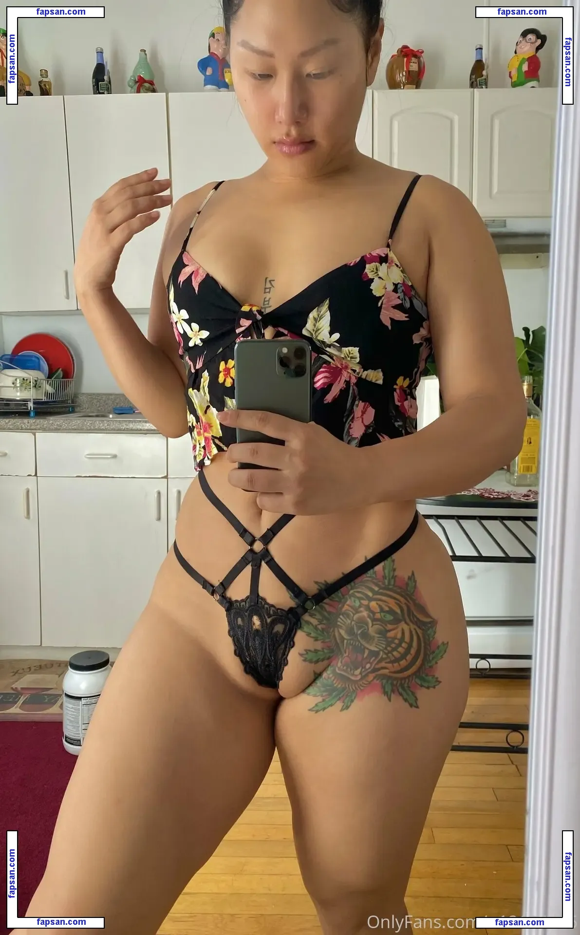 MeganTheKim nude photo #0002 from OnlyFans