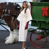 Melania Trump голая #0092