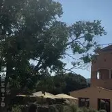 Melissa Khalaj nude #0034