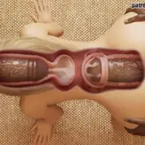 Mia Boyka nude #0002