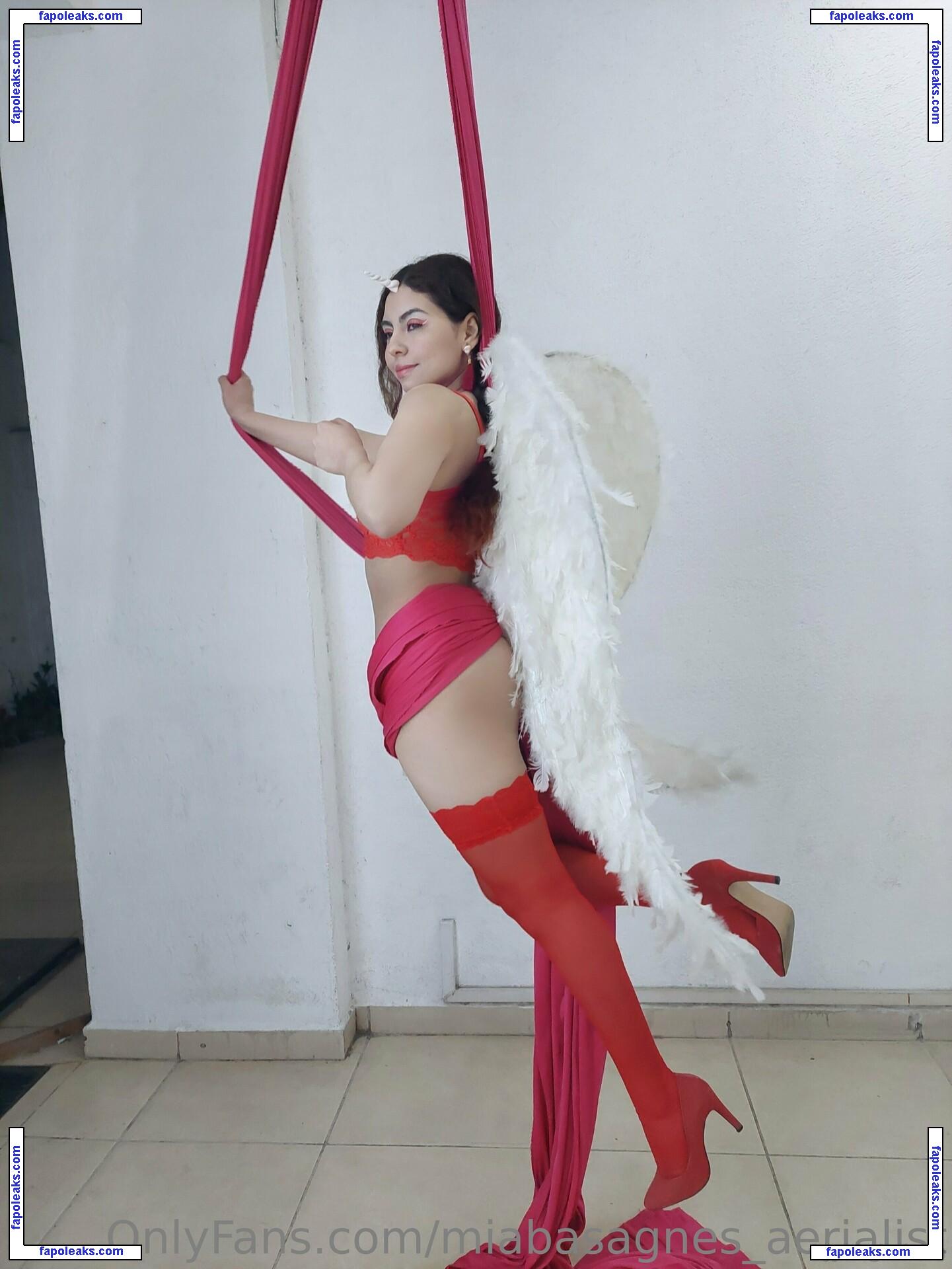 miabasagnes_aerialist nude photo #0001 from OnlyFans