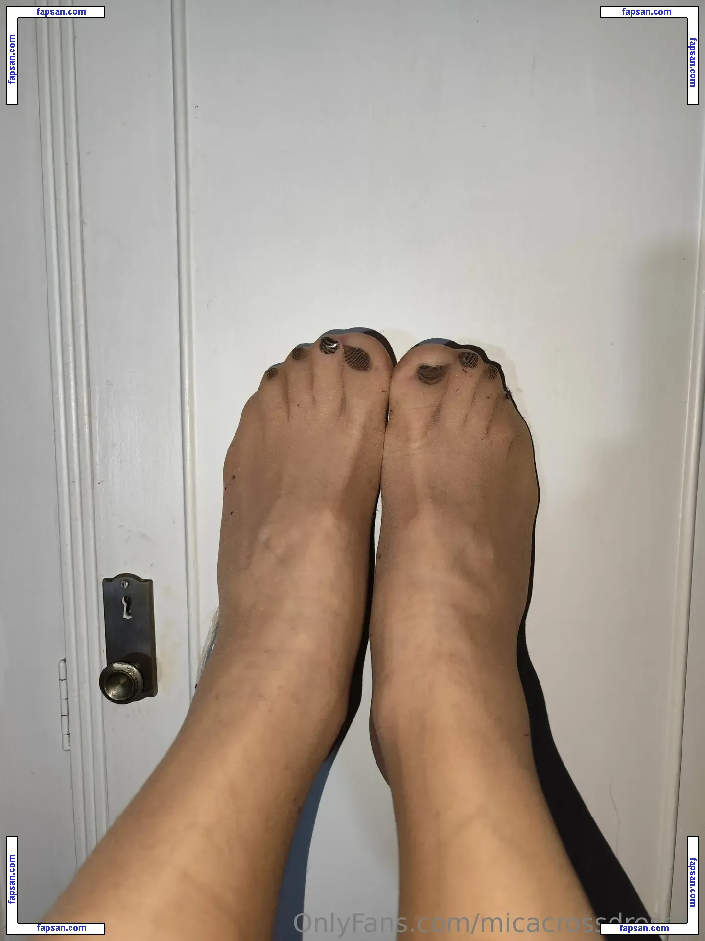 micatrans nude photo #0018 from OnlyFans
