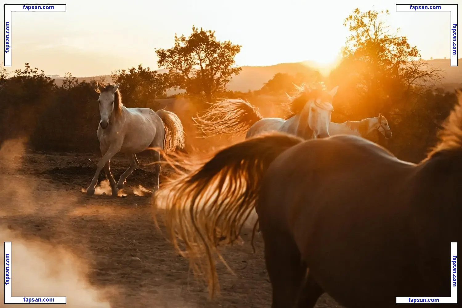 Mich Hoek голая фото #0006 с Онлифанс