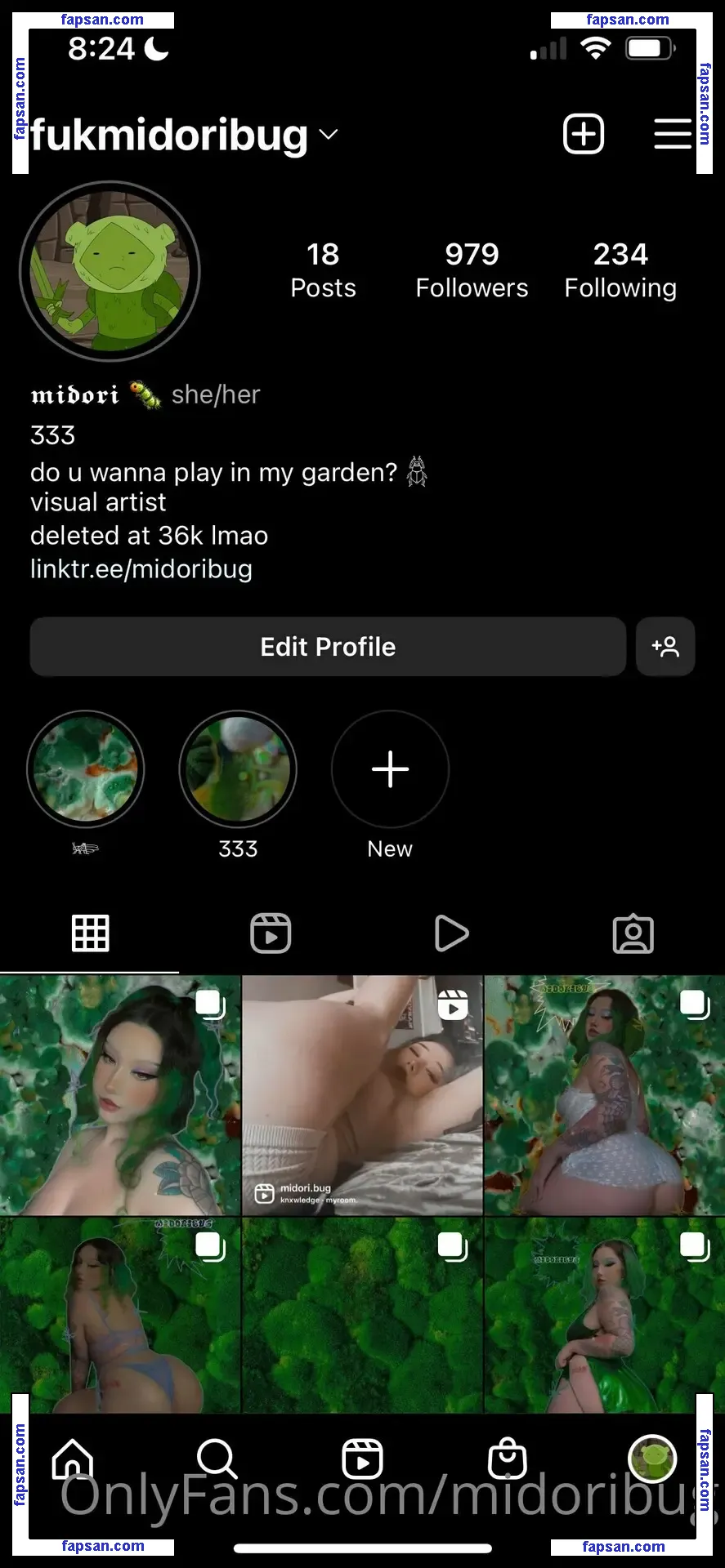 midoribug nude photo #0029 from OnlyFans