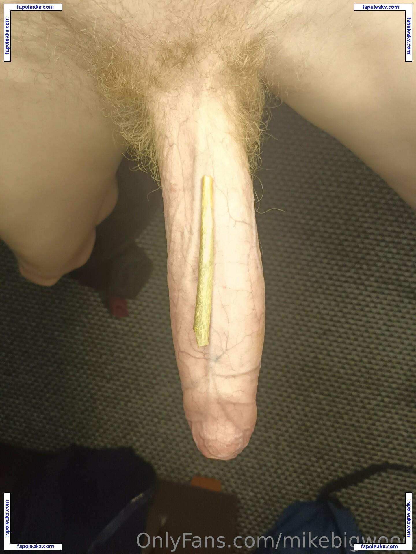mikebigwood / themikebigwood nude photo #0031 from OnlyFans