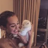 Miley Cyrus nude #0839