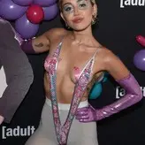 Miley Cyrus nude #1842