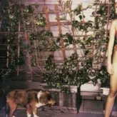 Miley Cyrus nude #1988
