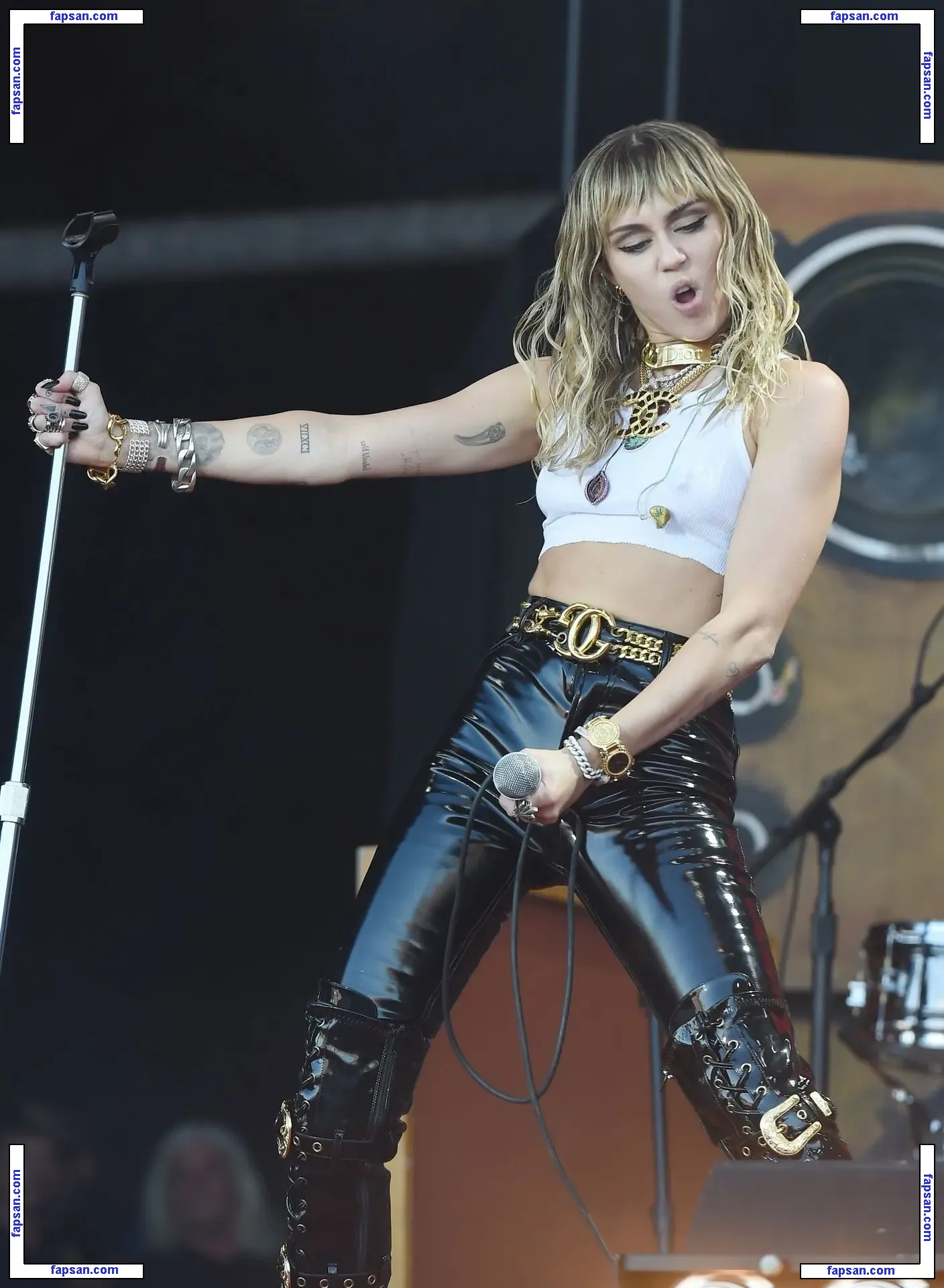 Miley Cyrus nude photo #2827 from OnlyFans