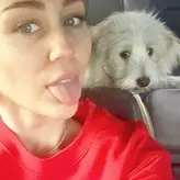 Miley Cyrus nude #2322