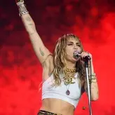 Miley Cyrus nude #2864