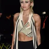 Miley Cyrus nude #3749