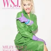 Miley Cyrus nude #3904