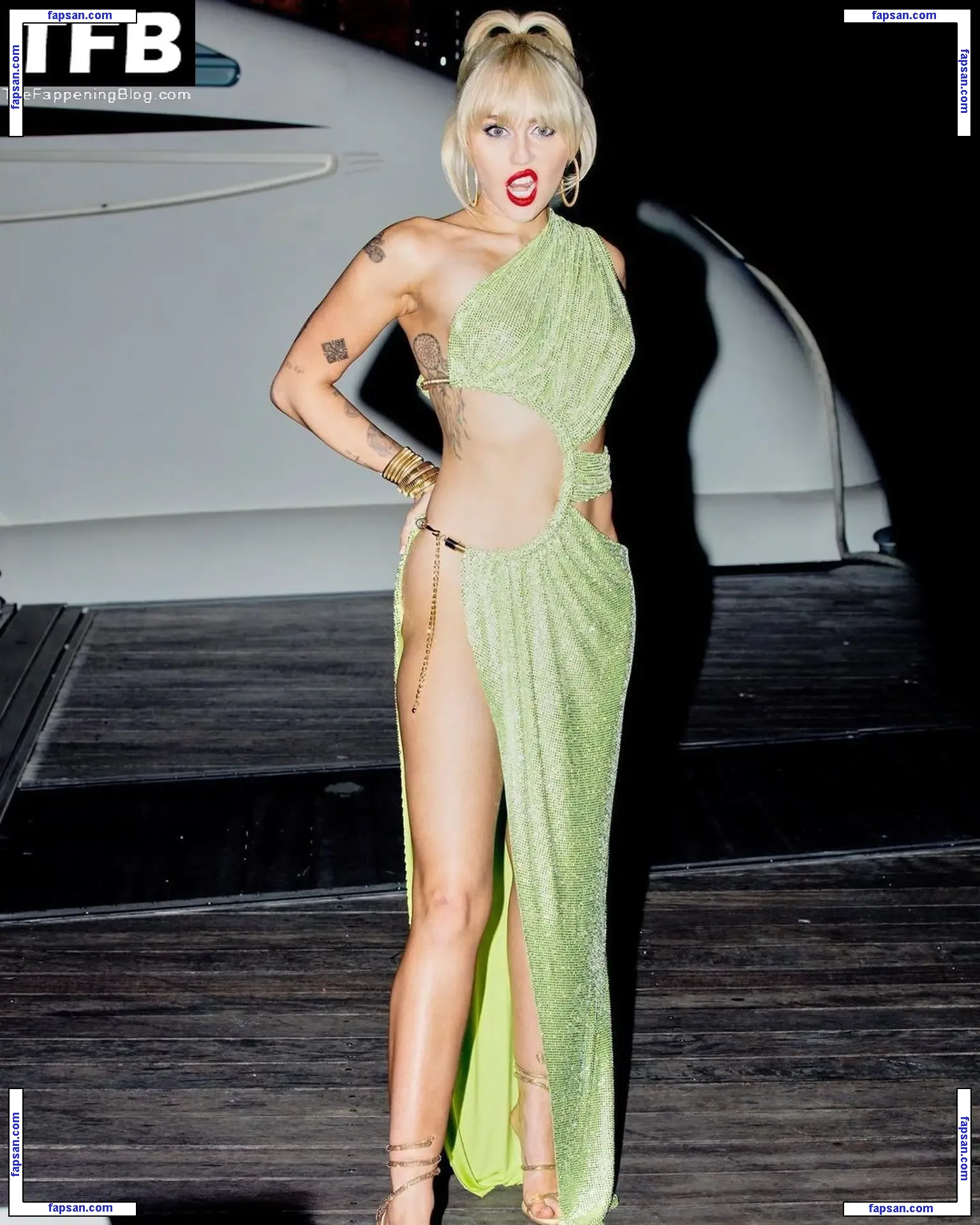 Miley Cyrus nude photo #4870 from OnlyFans