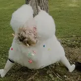 Miley Cyrus nude #4800