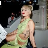 Miley Cyrus nude #4869