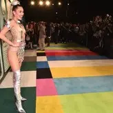 Miley Cyrus nude #5394