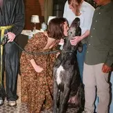 Millie Bobby Brown nude #3259