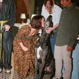 Millie Bobby Brown nude OnlyFans