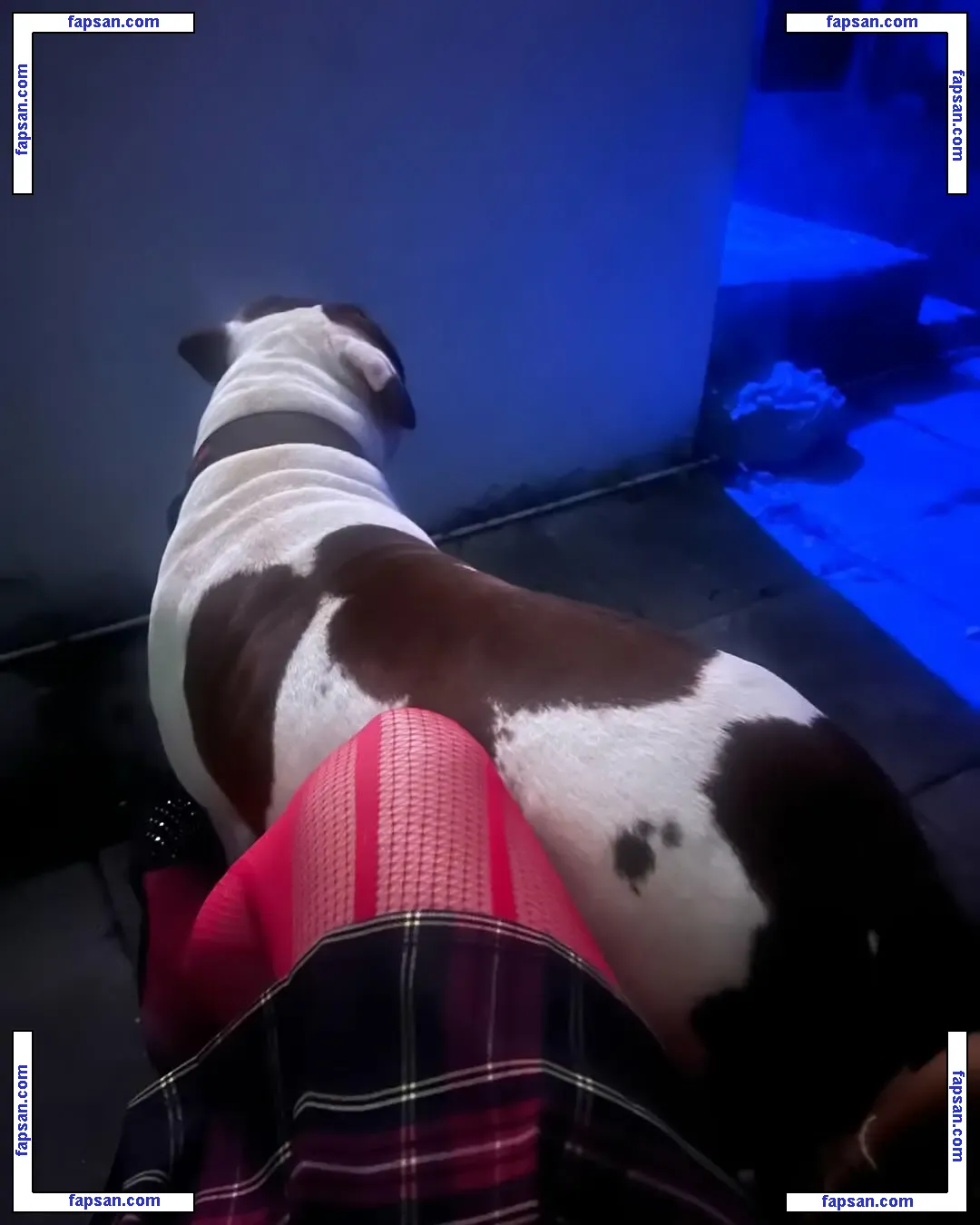 Mina Fimmel голая фото #0013 с Онлифанс