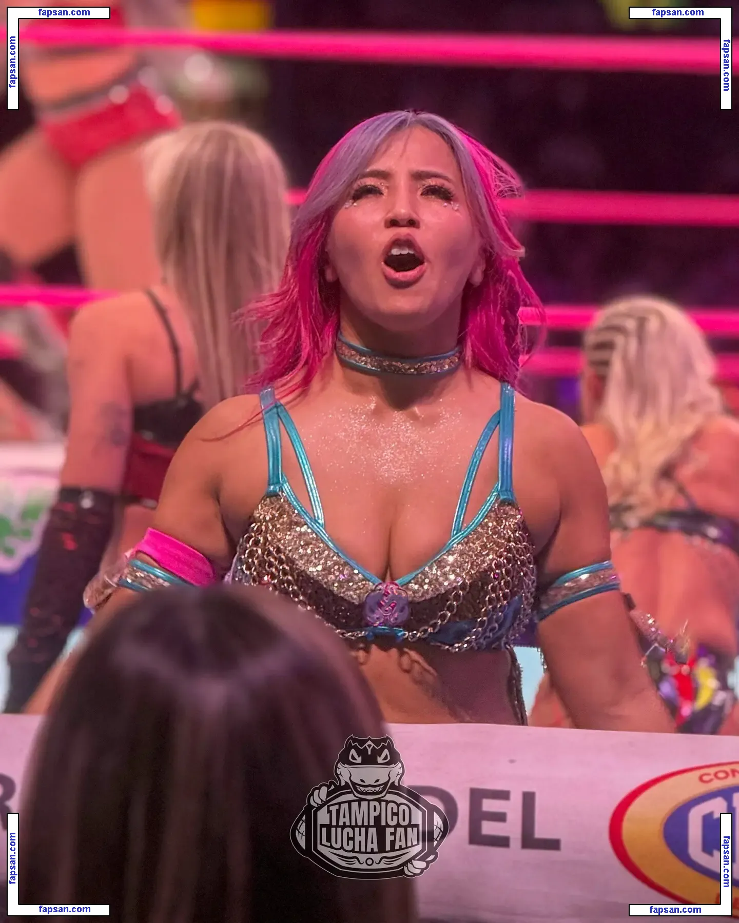 Mina Shirakawa nude photo #1223 from OnlyFans