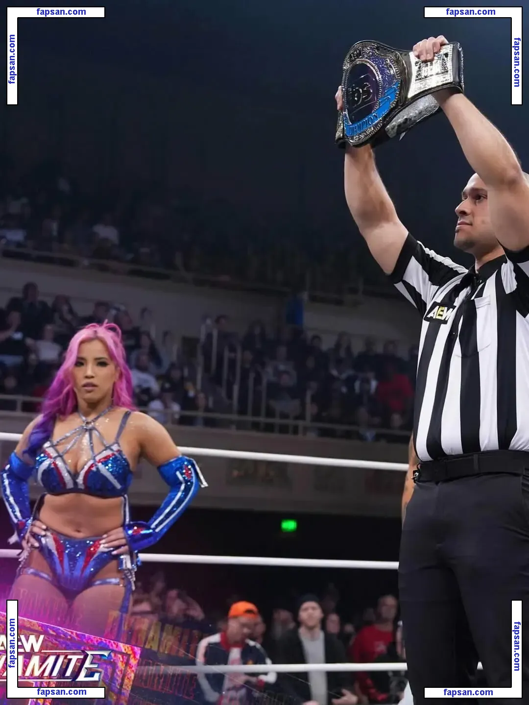 Mina Shirakawa nude photo #1281 from OnlyFans