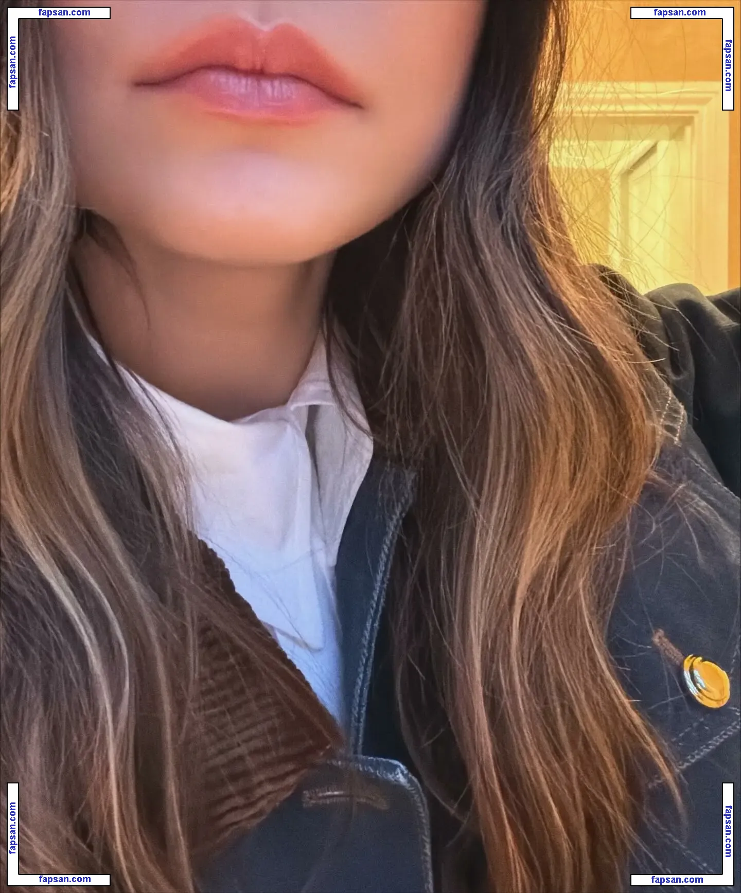 Miranda Cosgrove nude photo #0406 from OnlyFans