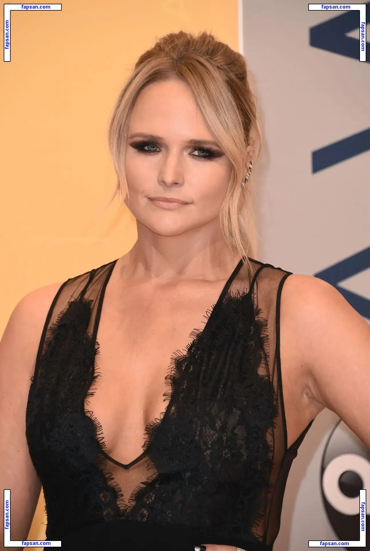 Miranda Lambert nude photo #0014 from OnlyFans