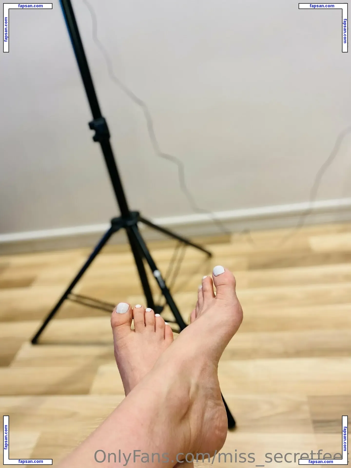 miss_secretfeet nude photo #0027 from OnlyFans