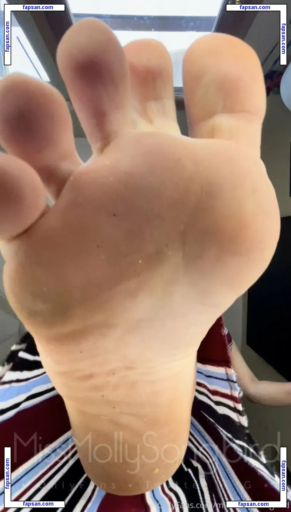 missmollysongbird nude photo #0019 from OnlyFans