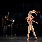 Misty Copeland nude #0104