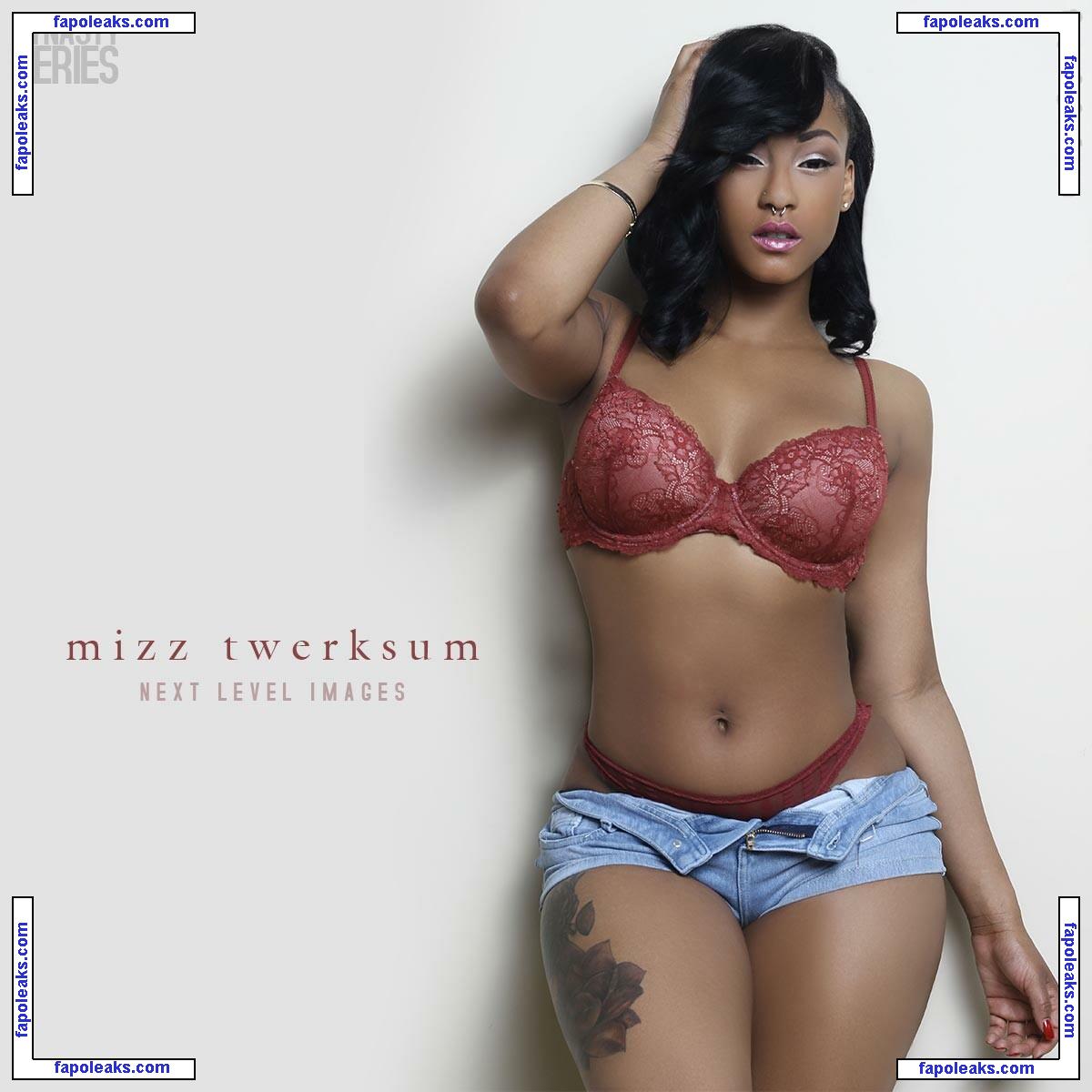 Mizz Twerksum / mizztwerksumoffical / theofficialmizztwerksum nude photo #0114 from OnlyFans