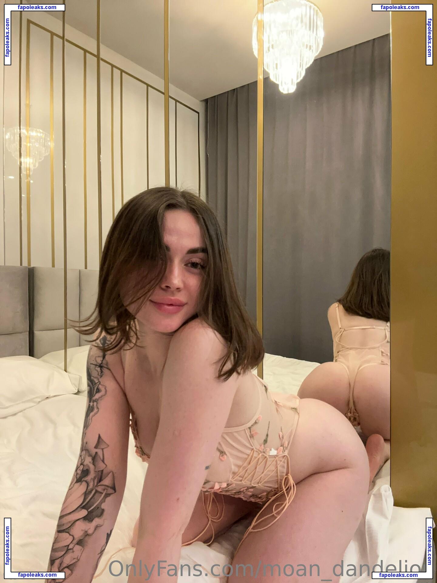 moan_dandelion / _dandelionme nude photo #0015 from OnlyFans