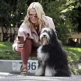 Molly Sims голая #0221