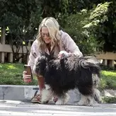 Molly Sims голая #0240