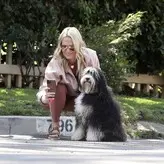 Molly Sims голая #0241