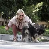 Molly Sims голая #0242